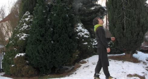 Snowball